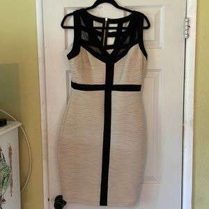 Established 1962 cream/black dress.